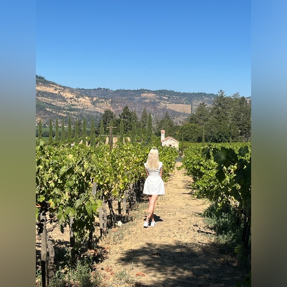 Odd Muse 🪽🪽🪽The Ultimate Muse Satin Straight Neck Mini Dress 🪽🪽🪽 - Picture 3 of 5